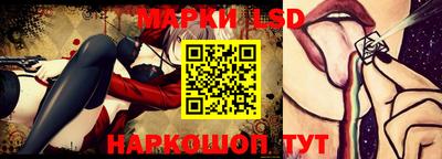 гидропоника Будённовск