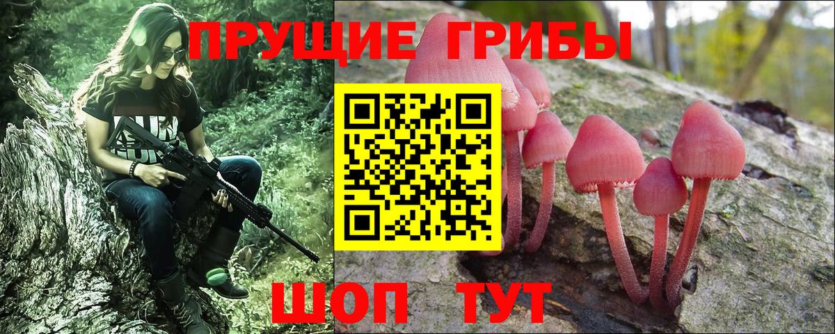 Галлюциногенные грибы GOLDEN TEACHER  Псилоцибиновые грибы GOLDEN TEACHER  Вход с VPN  Слободской 